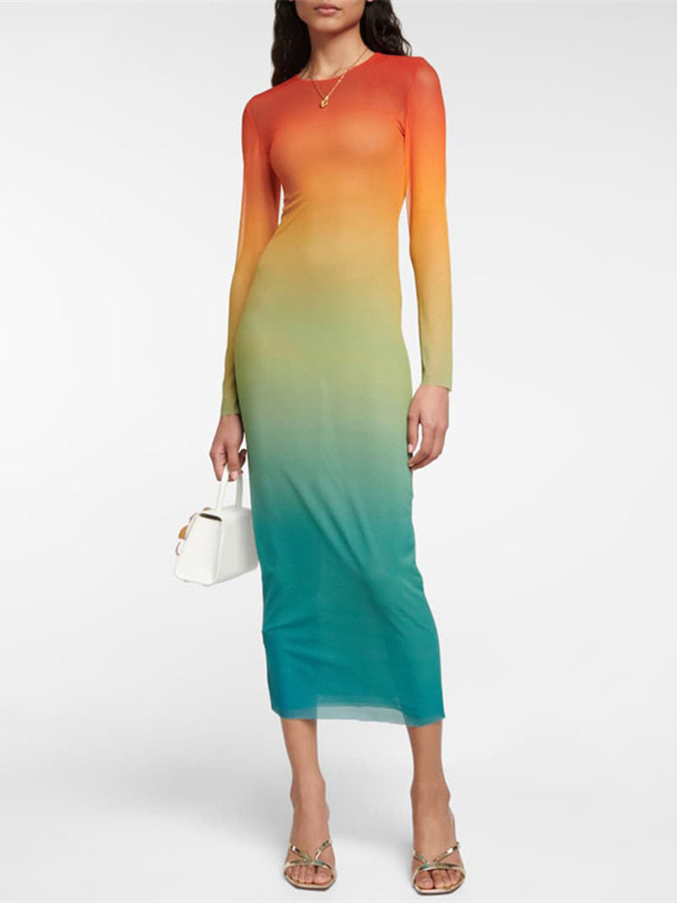 Adele Gradient Sheer Mesh Dress