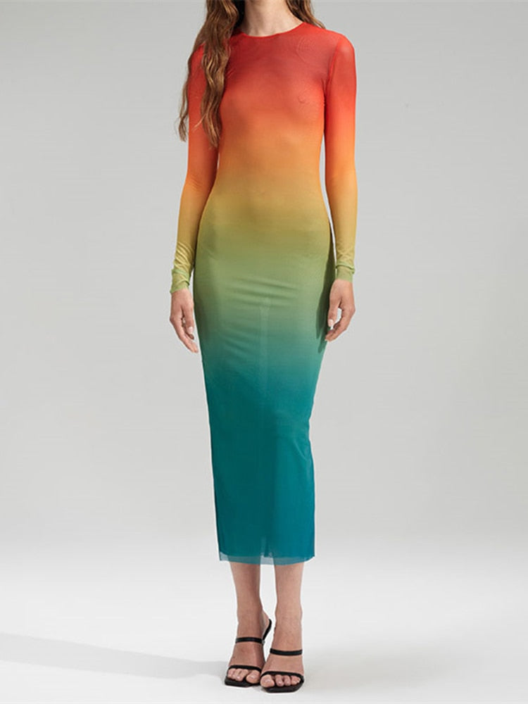 Adele Gradient Sheer Mesh Dress