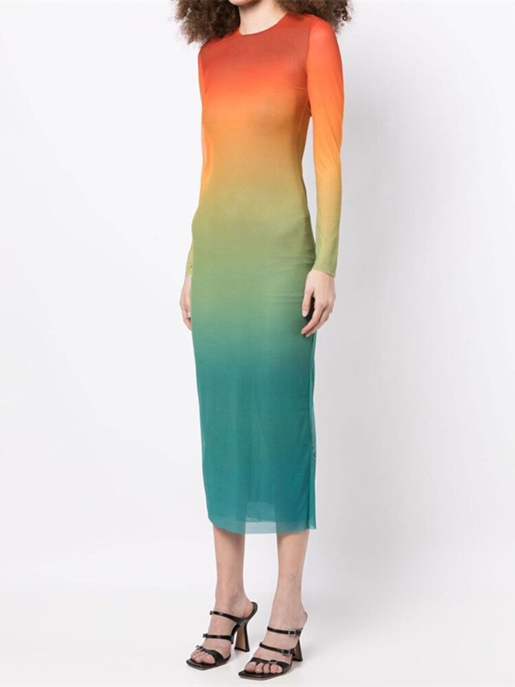 Adele Gradient Sheer Mesh Dress
