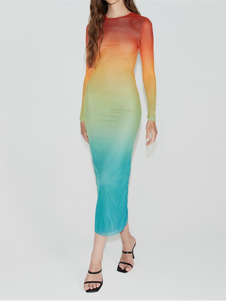 Adele Gradient Sheer Mesh Dress