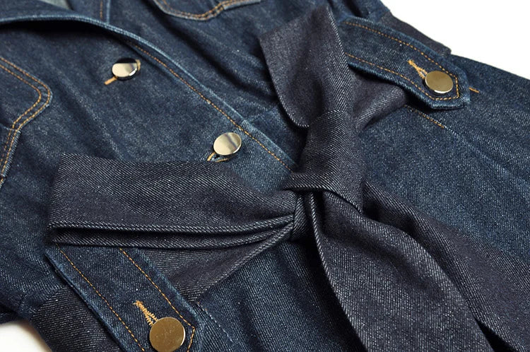 Brianna  Spliced Gradient High Waist Denim Dress