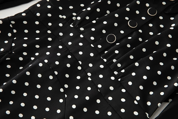 Robyn  Lantern Sleeve Ruffles Tassels Dot Print Vintage Party Dresses