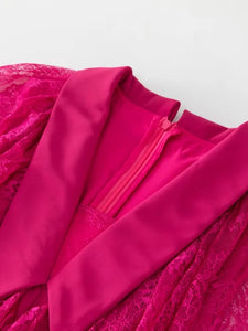 Meredith Pencil Dress Turn-down Collar Lace Dress