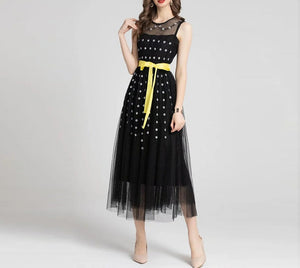 Wren Sleeveless Belted Luxury Embroidery  Vintage Black Mesh Dress